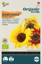 Buzzy® Organic Sonnenblume Compact Spray mixed(BIO)