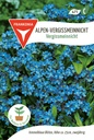 Alpen-Vergissmeinnicht