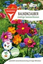 Balkonzauber niedrige Sommerblumen