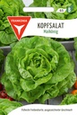 Kopfsalat Maikönig