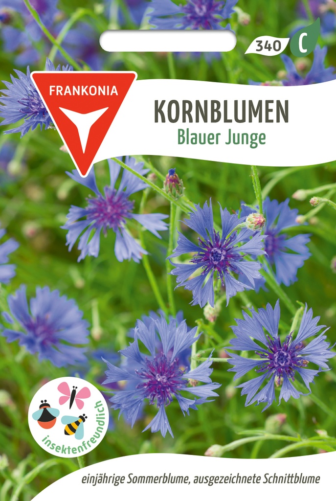 Kornblumen Blauer Junge