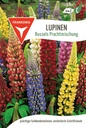 Lupinen Russels Prachtmischung