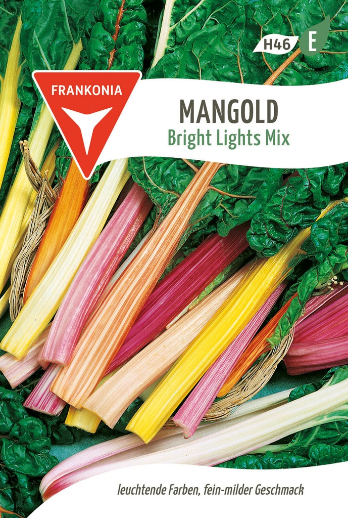 Mangold Bright Lights Mix