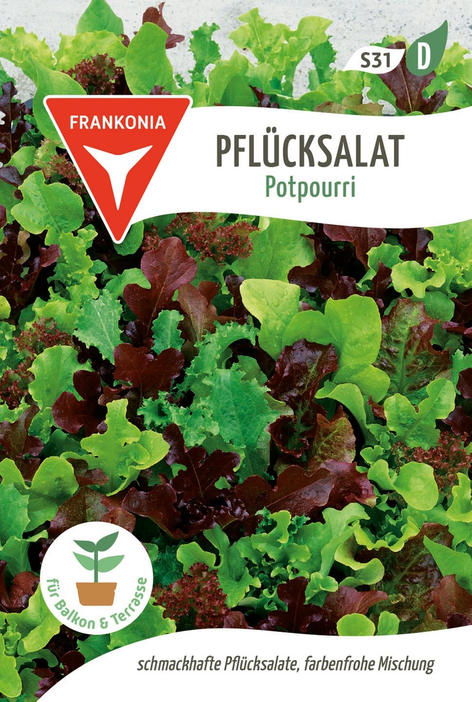 Pflücksalat Potpourri