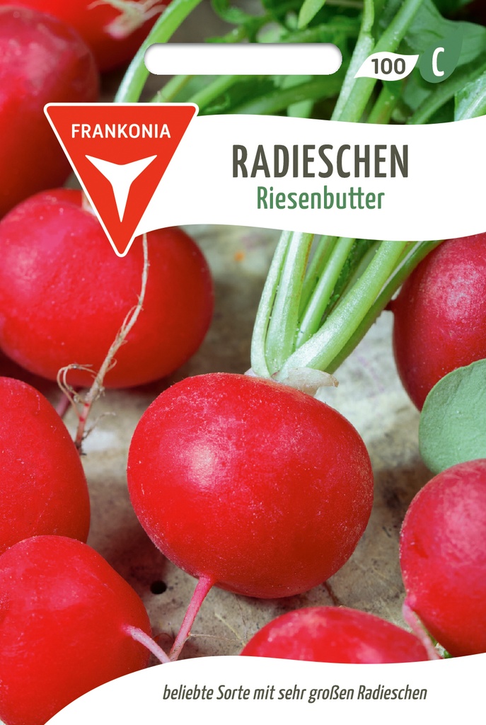 Radieschen Riesenbutter