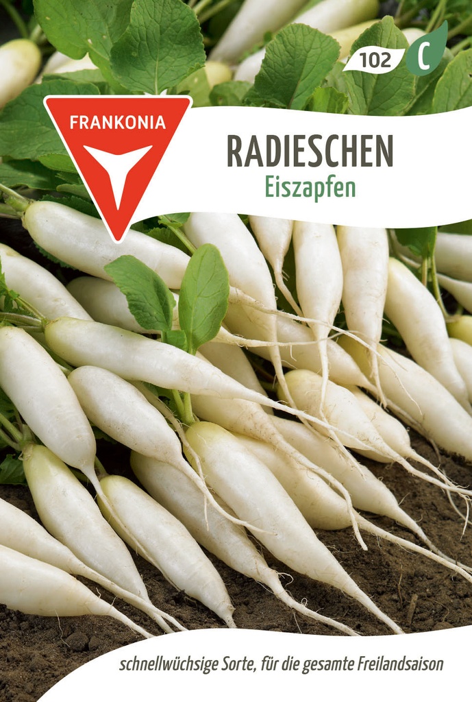 Radieschen Eiszapfen