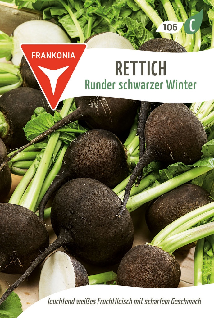 Rettich Runder schwarzer Winter