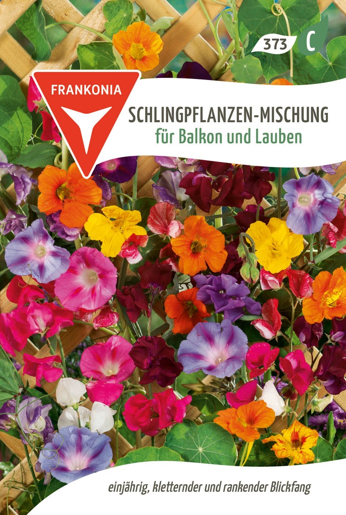 Schlingpflanzen-Mischung für Balkon und Lauben