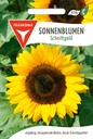 Sonnenblumen Schnittgold