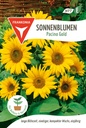 Sonnenblumen Pacino Gold