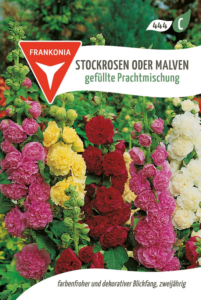 Stockrosen oder Malven gefüllte Prachtmischung