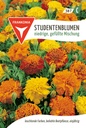 Studentenblumen niedrige, gefüllte Mischung