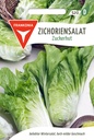 Zichoriensalat Zuckerhut