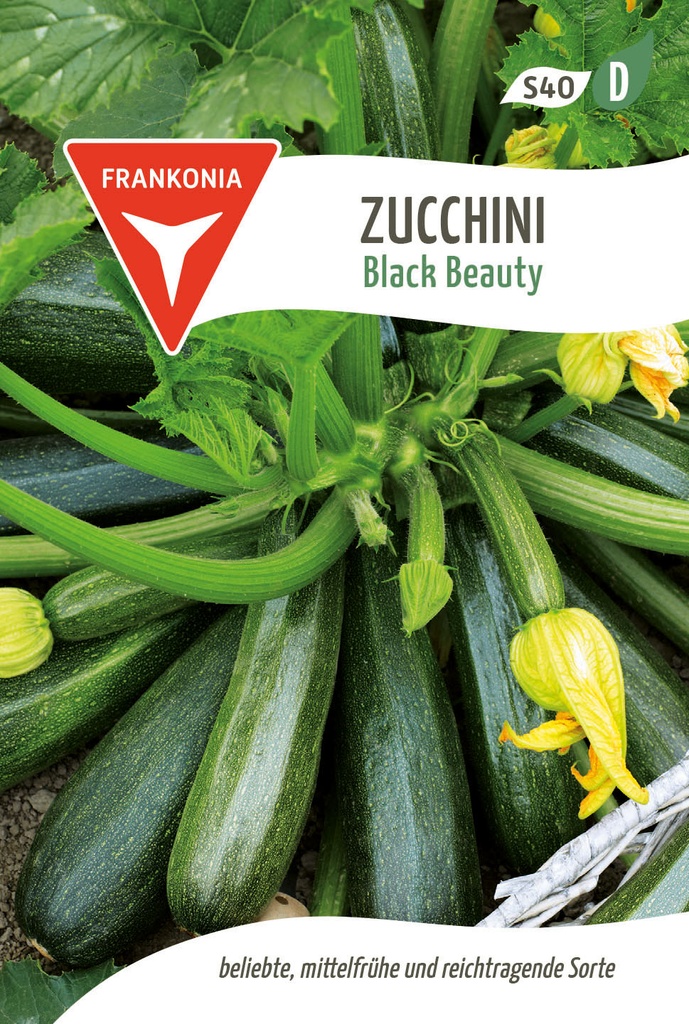 Zucchini Black Beauty