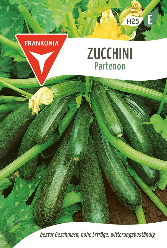 Zucchini Partenon