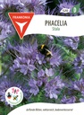 Phacelia Stala