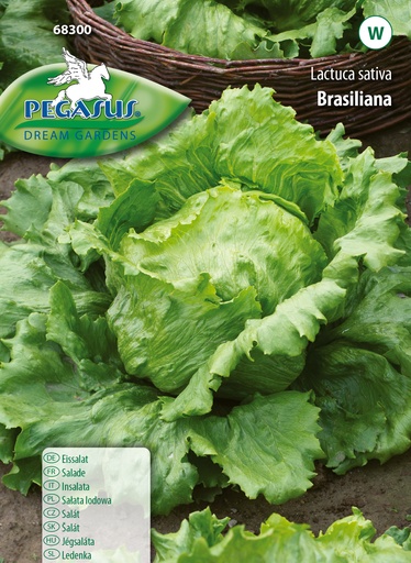 Eissalat Brasiliana