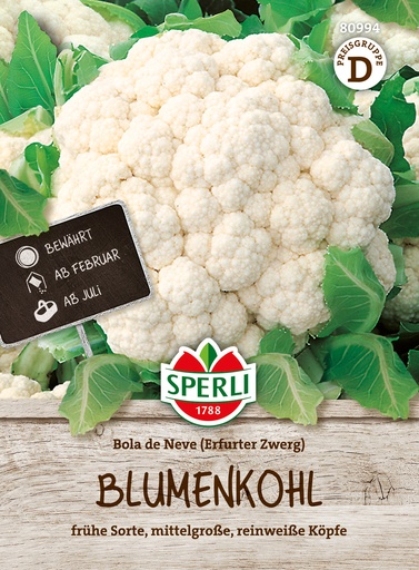 Blumenkohl Bola de Neve (Erfurter Zwerg)