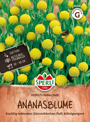 Ananasblume SPERLI's Süßer Duft