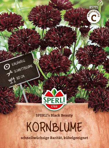 Kornblume SPERLI's Black Beauty