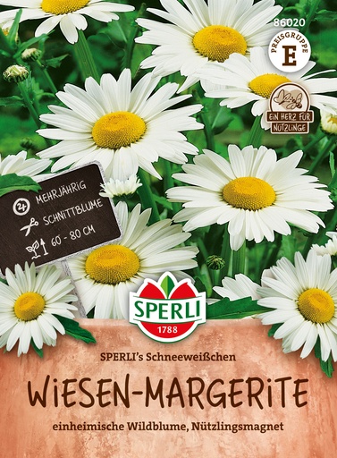 Wiesen-Margerite SPERLI's Schneeweißchen