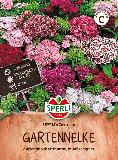 Gartennelke SPERLI's Colorista