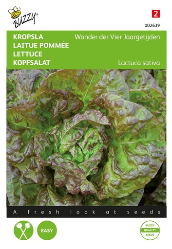 Buzzy® Kopfsalat Merveille des quatre saisons