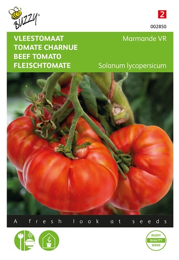 Buzzy® Fleischtomate Marmande VR