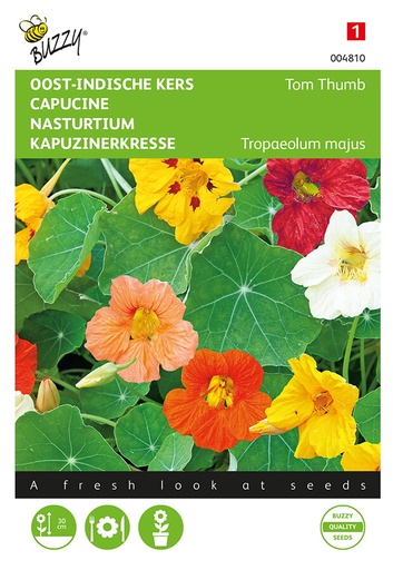 Buzzy® Tropaeolum Nanum Tom Thumb Niedr. Mischung