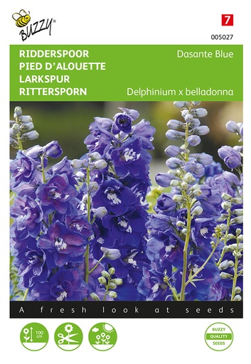 Buzzy® Delphinium, Rittersporn Dasante Blue