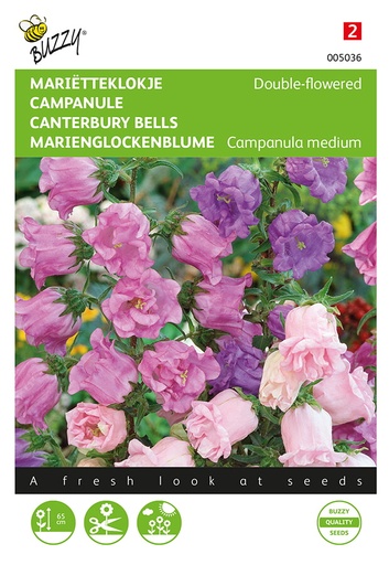 Buzzy® Campanula medium Gefuellte Mischung