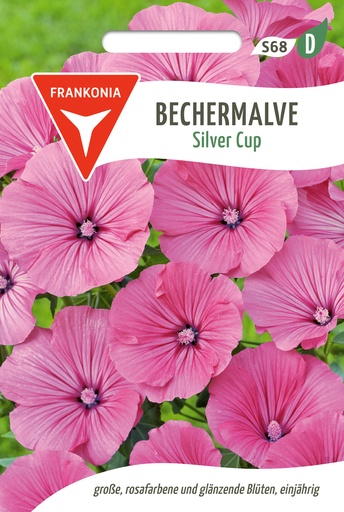 Bechermalve Silver Cup