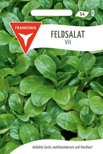 Feldsalat Vit