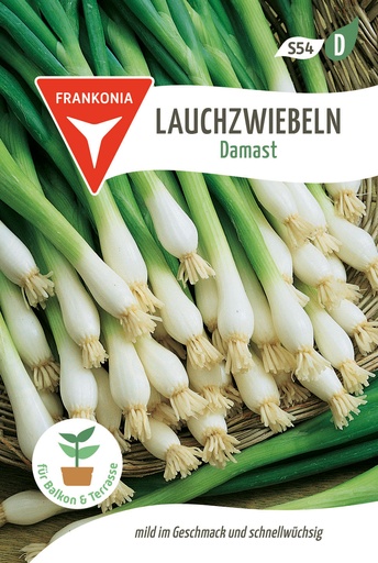 Lauchzwiebeln Damast