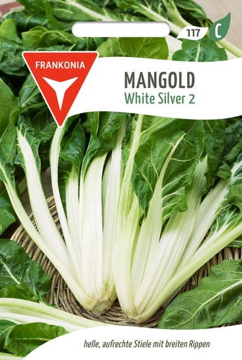 Mangold White Silver 2