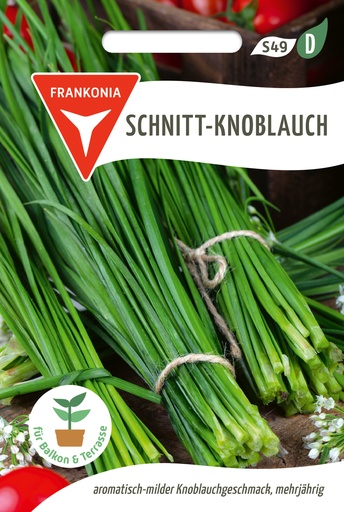 Schnitt-Knoblauch 