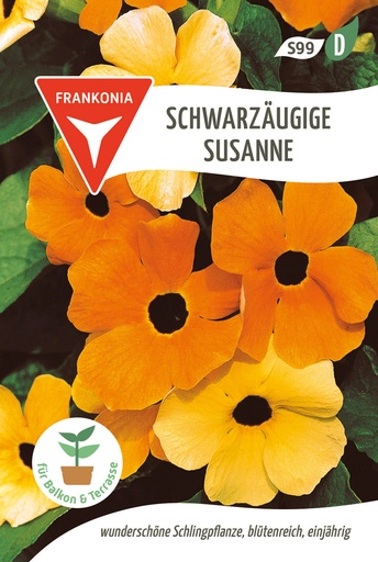 Schwarzäugige Susanne 