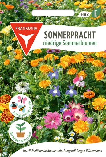 Sommerpracht niedrige Sommerblumen