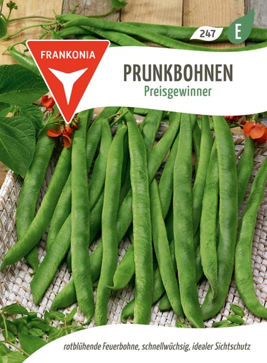 Prunkbohnen Preisgewinner